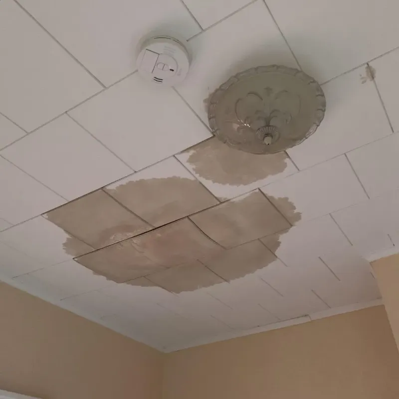 Ceiling Water Damage Repair in Enochville, NC