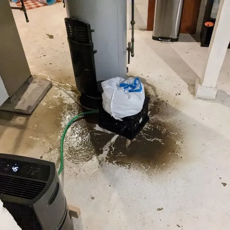 Sewage Backup Cleanup Service in Enochville, NC